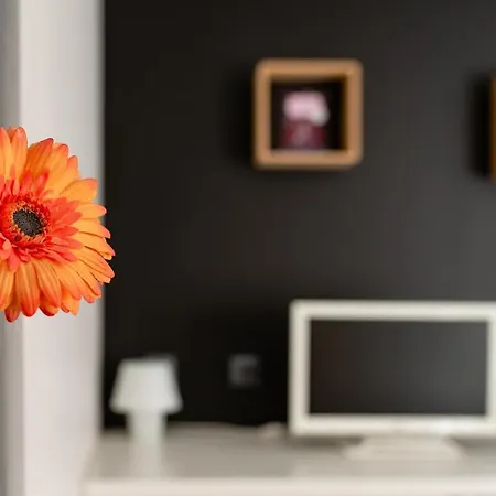 Apartment Le 9eme- Metro Valmy-homalyon Lyon